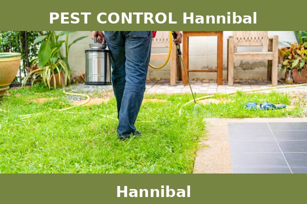 PEST CONTROL Hannibal